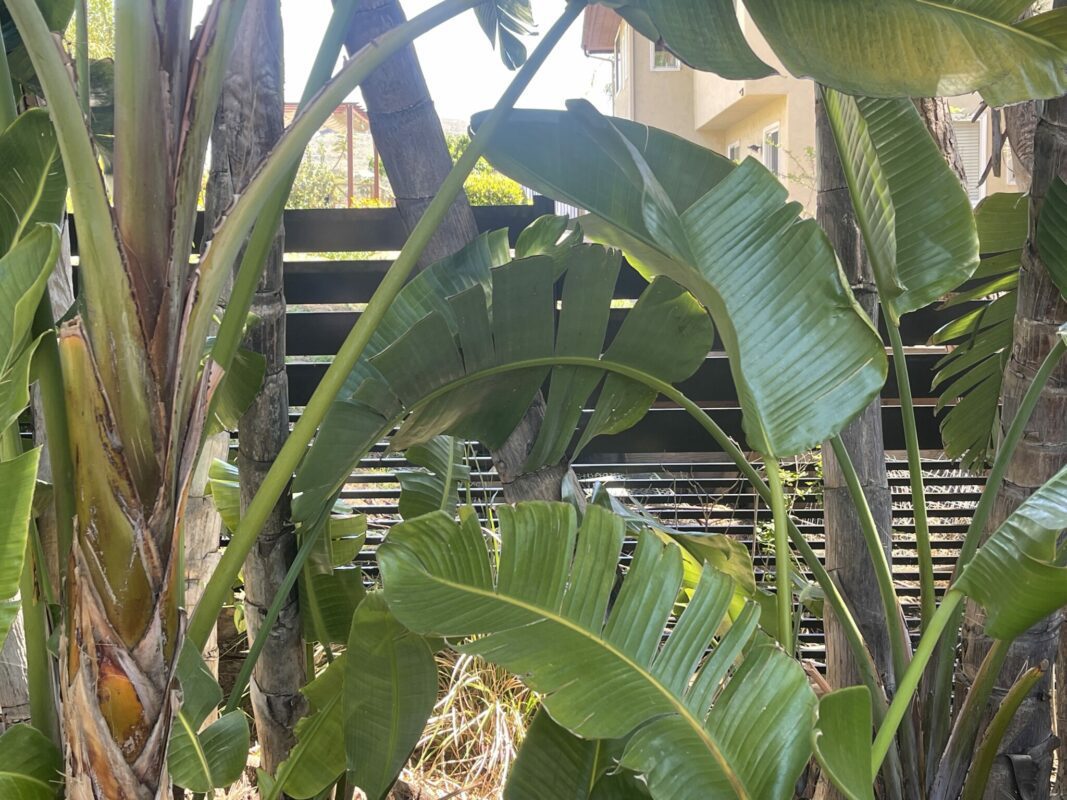 Black Aluminum horizontal fence