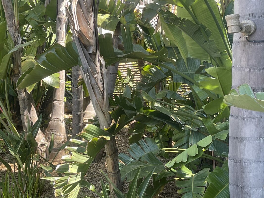 Black Aluminum horizontal fence