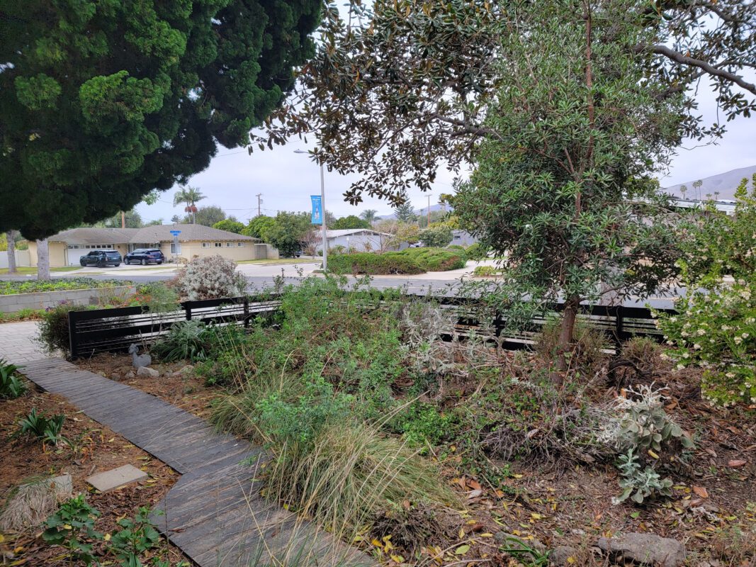 A partially installed black aluminum fence among greenery in a residential front yard.