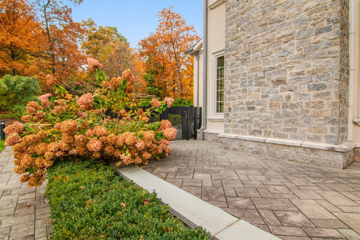 Modern black aluminum fence installation alongside a landscaped yard in Cedar Grove.