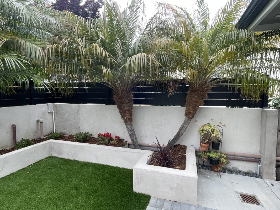 Modern black fence with palm trees, enhancing privacy and coastal elegance in Ventura.