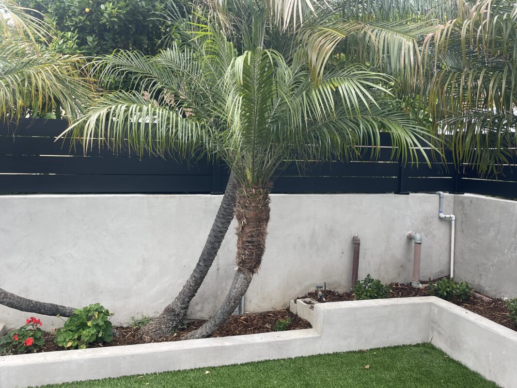 Modern black wall topper enhances privacy in a coastal garden with palm trees and greenery.