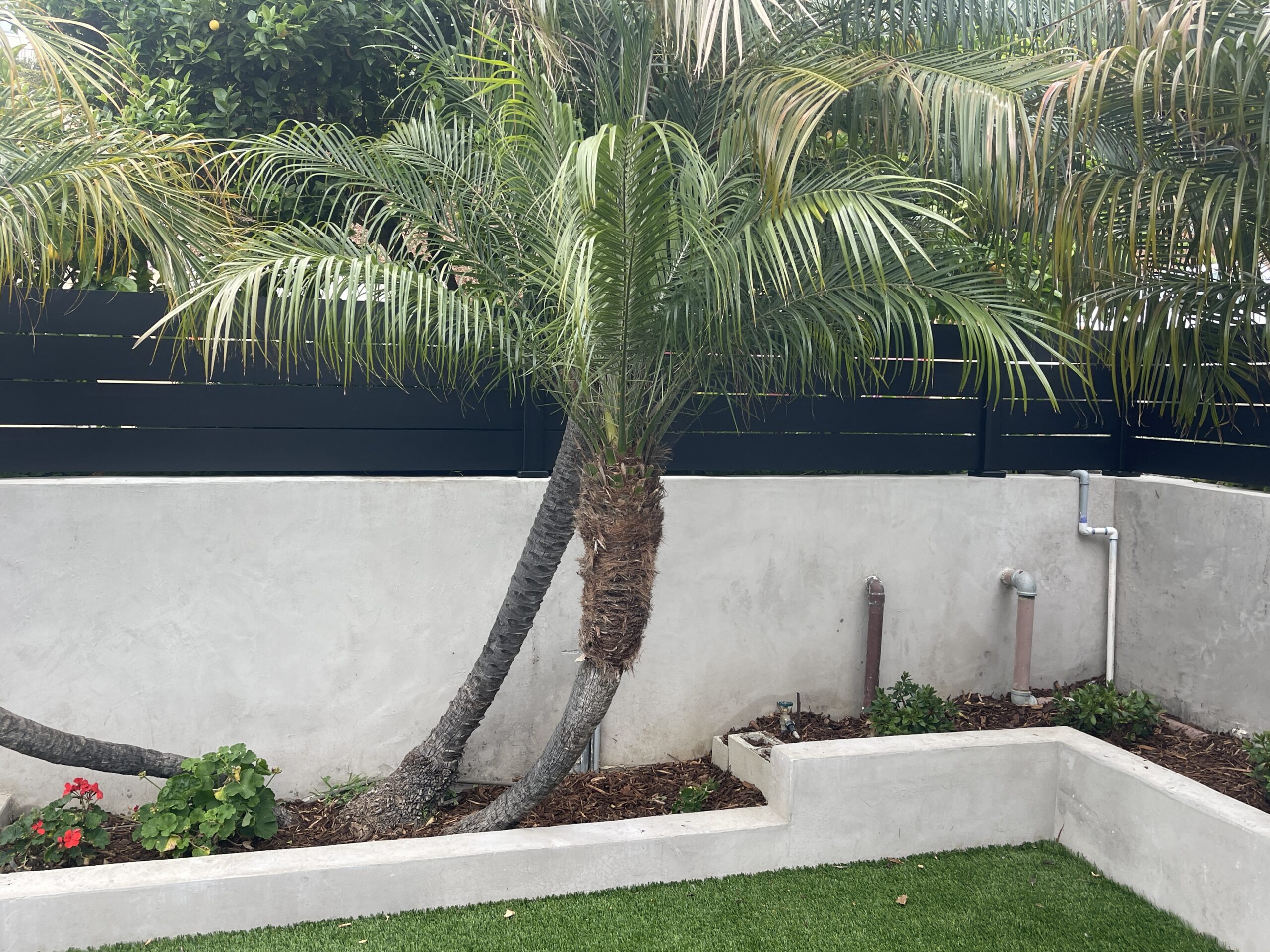 Modern black wall topper enhances privacy in a coastal garden with palm trees and greenery.