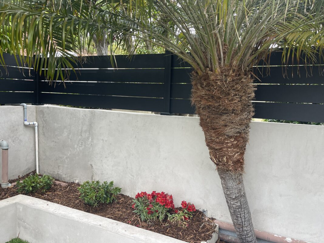 Modern black fence with palm tree and flowers in a coastal garden setting.