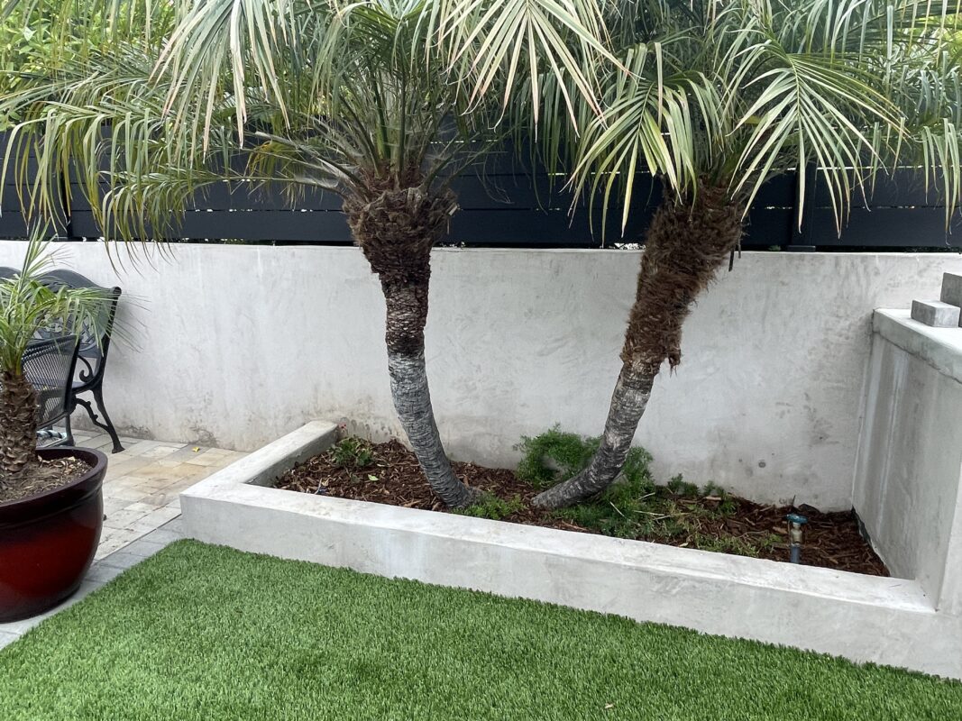 Modern Black LA wall topper adds elegance to a Ventura landscape with palm trees.